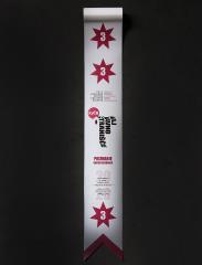 PRIZNANJE OBČINI CERKNICA 02 FOTO LJUBO VUKELIČ